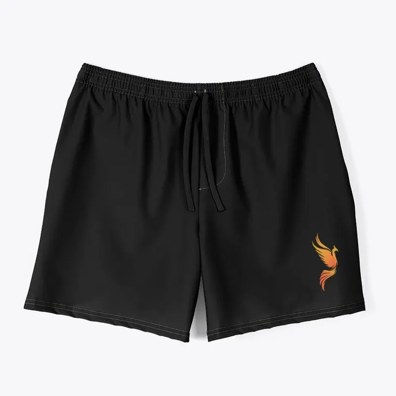 Gym Shorts -- SunBird 